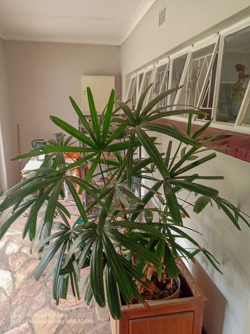 5 Bedroom Property for Sale in Villiers Free State